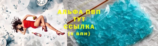 гашик Арсеньев