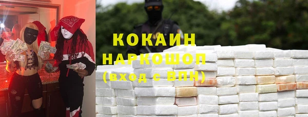 гашик Арсеньев