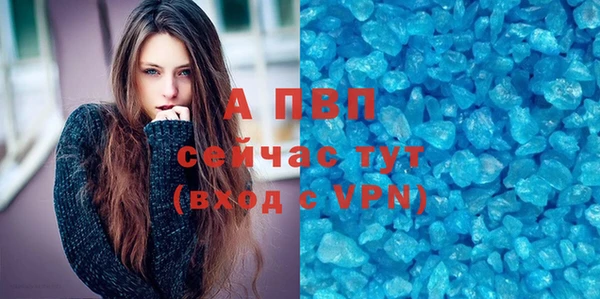 гашик Арсеньев
